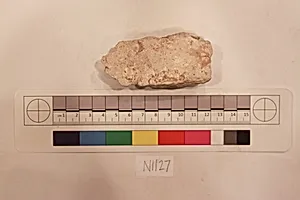 Stucco Fragment