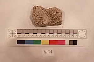 Stucco Fragment
