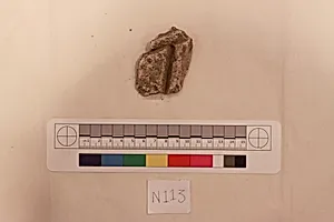 Stucco Fragment by Unknown Artist