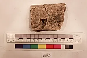 Stucco Fragment