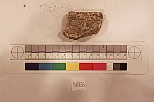 Stucco Fragment
