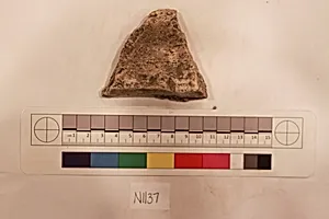 Stucco Fragment
