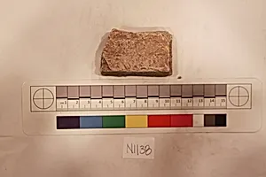Stucco Fragment