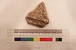 Stucco Fragment