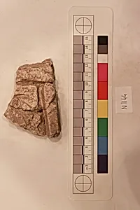 Stucco Fragment by Unknown Artist