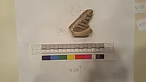 Stucco Fragment by Unknown Artist