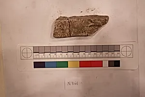 Stucco Fragment by Unknown Artist