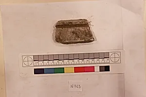 Stucco Fragment