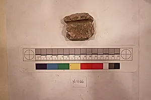 Stucco Fragment