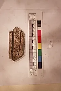 Stucco Fragment