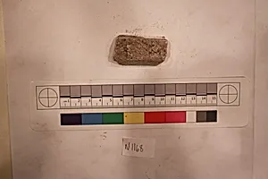 Stucco Fragment