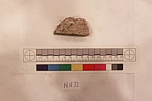 Stucco Fragment