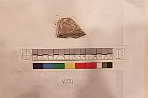 Stucco Fragment