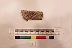 Stucco Fragment