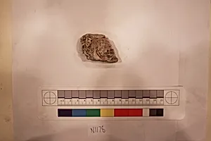 Stucco Fragment
