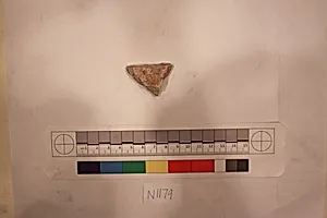 Stucco Fragment