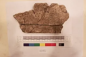 Stucco Fragment