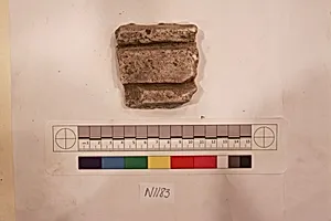 Stucco Fragment