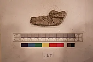 Stucco Fragment