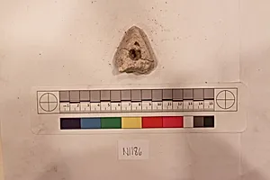Stucco Fragment