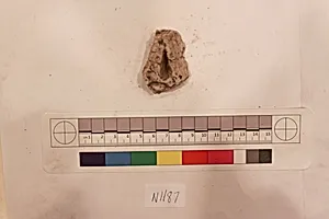 Stucco Fragment