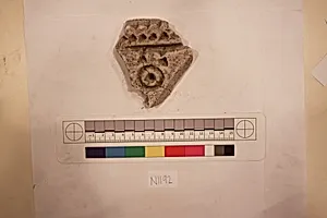 Stucco Fragment