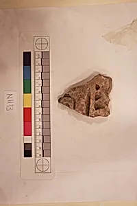 Stucco Fragment