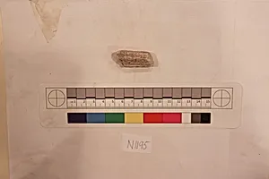 Stucco Fragment