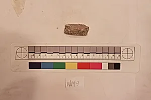 Stucco Fragment by Unknown Artist