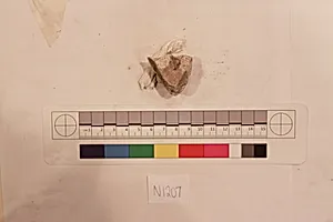 Stucco Fragment