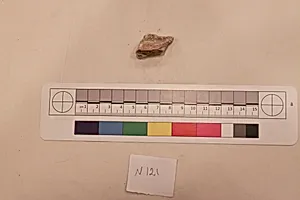 Stucco Fragment