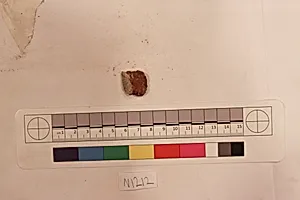 Stucco Fragment