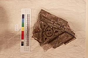 Stucco Fragment