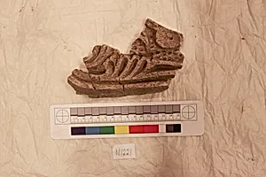Stucco Fragment