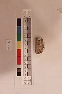 Stucco Fragment