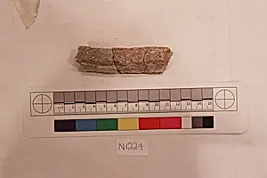 Stucco Fragment