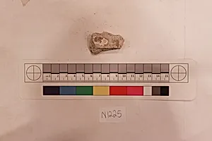 Stucco Fragment