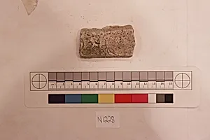 Stucco Fragment
