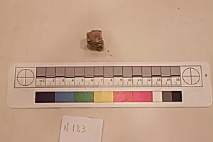 Stucco Fragment