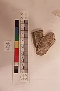 Stucco Fragment