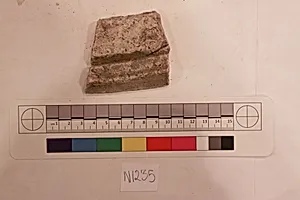 Stucco Fragment
