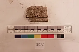 Stucco Fragment