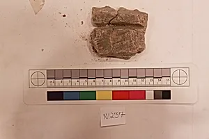 Stucco Fragment