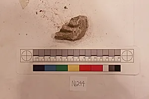 Stucco Fragment