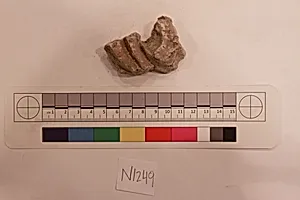 Stucco Fragment