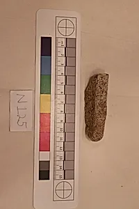 Stucco Fragment