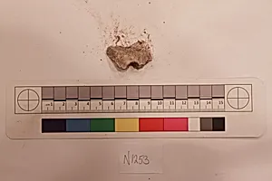 Stucco Fragment