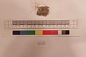 Stucco Fragment