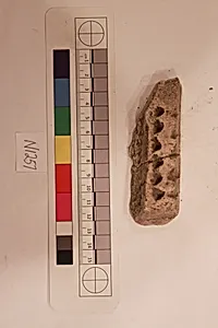 Stucco Fragment