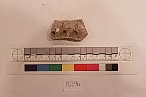 Stucco Fragment